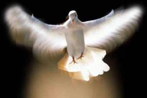 dove-holy-spirit.jpg?w=300