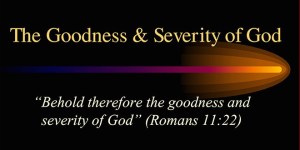 romans-11-22-660x330.jpg?w=300